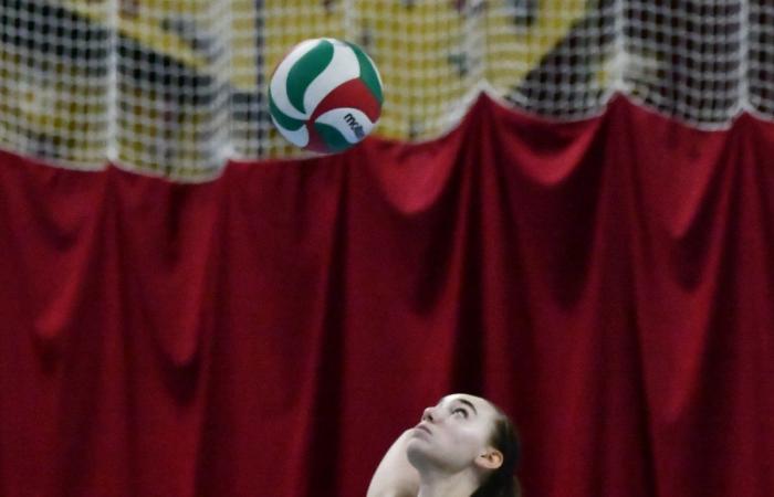 VOLLEYBALL: Only the men of Le Creusot won… The women lost everything…