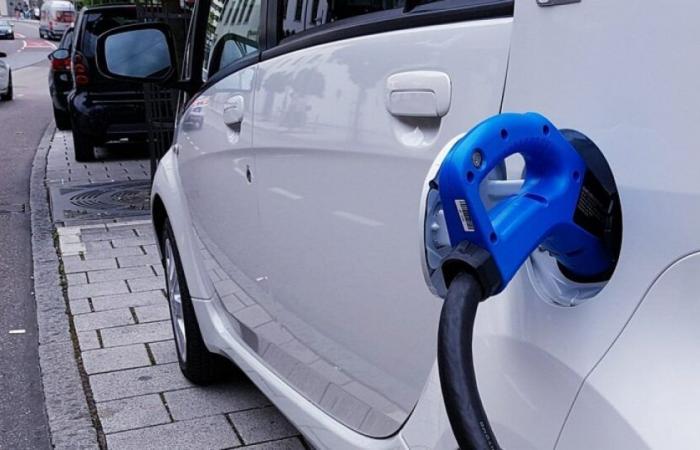 Ecological bonus: towards a drastic reduction in the premium for the purchase of an electric vehicle: News