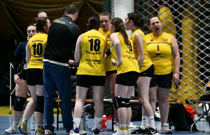 VOLLEYBALL: Only the men of Le Creusot won… The women lost everything…