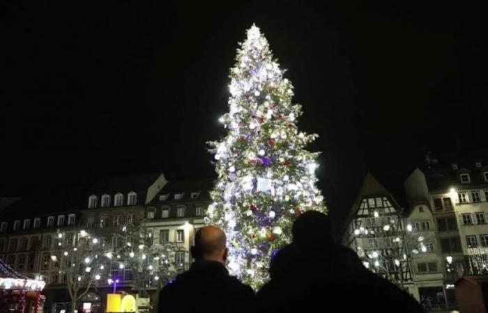 we show you what the big illuminated tree looks like