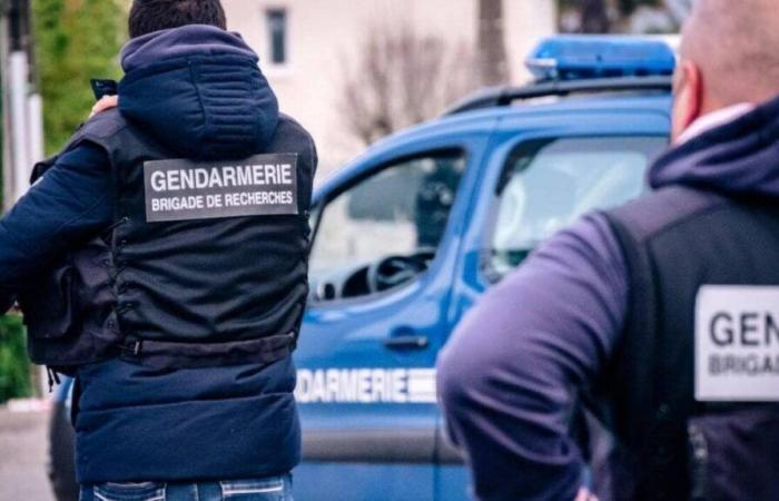 The lifeless body of a newborn baby discovered in a pond in Loire-Atlantique