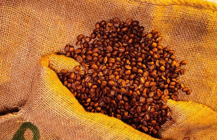 Climate, change in habits… Why are coffee prices so high?