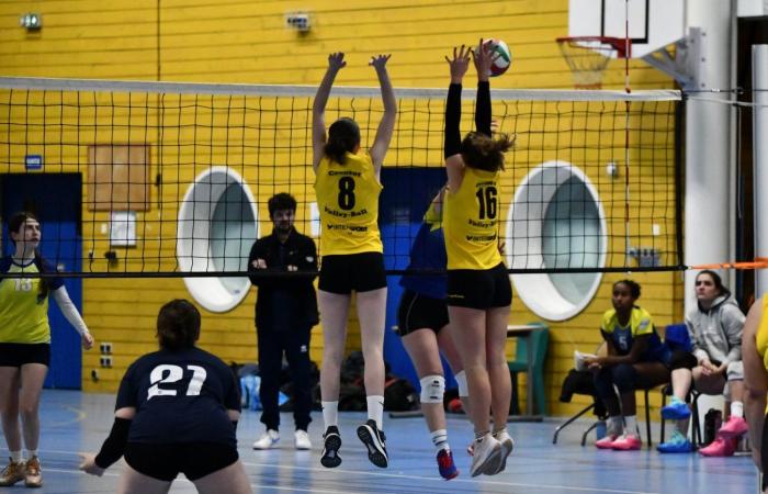 VOLLEYBALL: Only the men of Le Creusot won… The women lost everything…