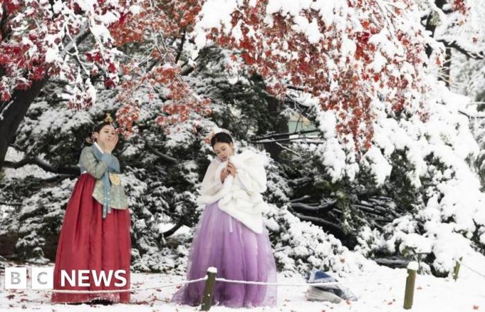 Seoul blanketed by heaviest November snow on record