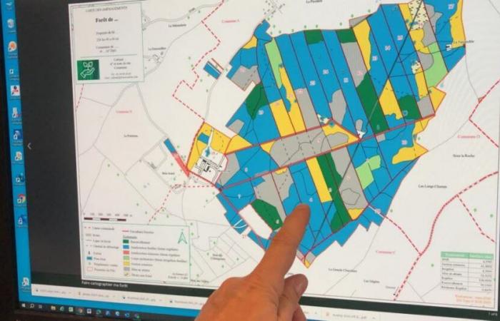 In search of tomorrow | Loire-Atlantique. Sylvamap: the app to map your forest