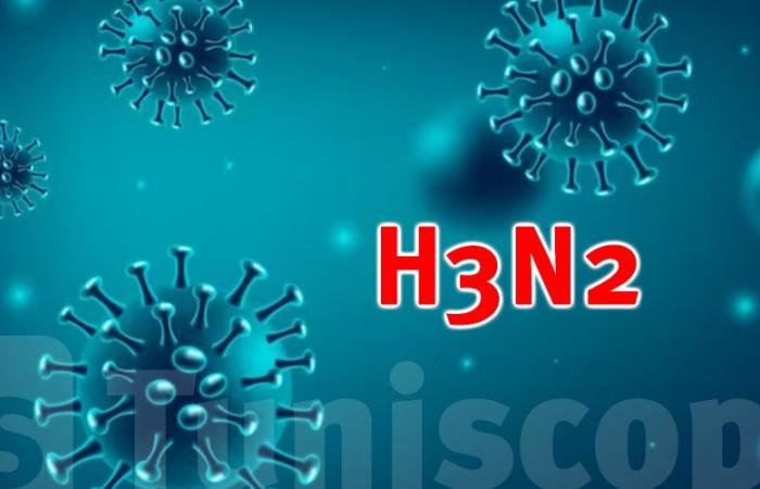 The H3N2 virus has started circulating since the beginning of November