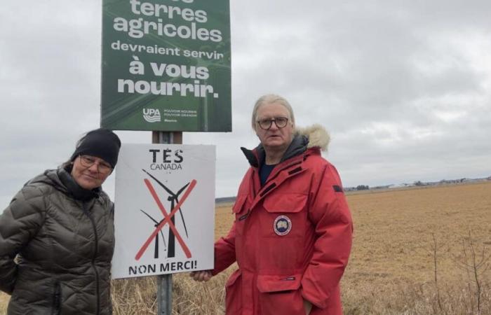 They are angry at TES Canada’s wind turbines: “How is a house without drinking water worth it?”