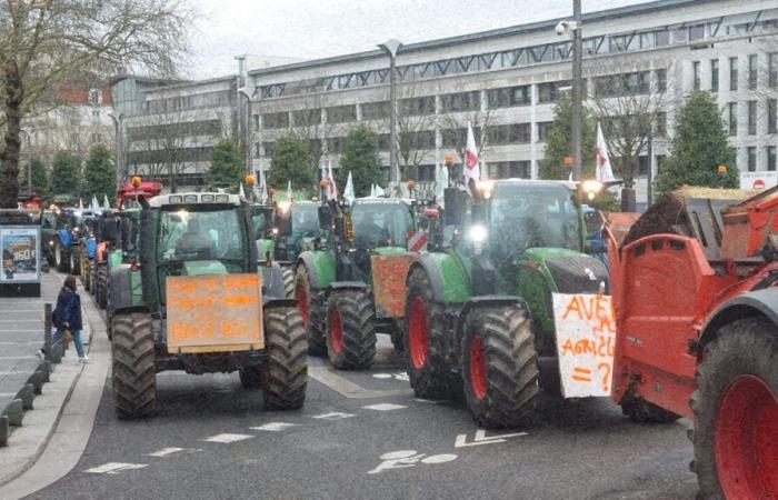 follow the demonstration in front of the prefecture live