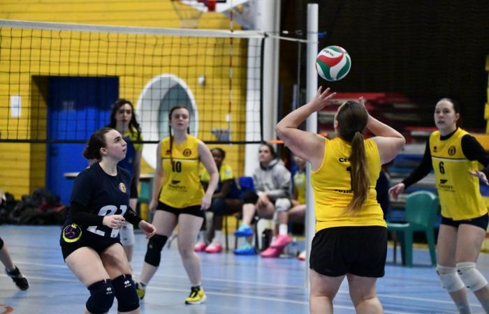 VOLLEYBALL: Only the men of Le Creusot won… The women lost everything…