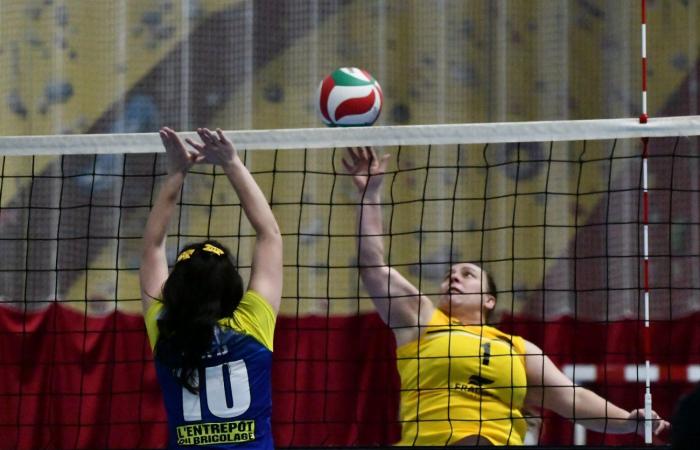 VOLLEYBALL: Only the men of Le Creusot won… The women lost everything…