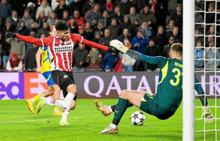 PSV overthrow Shakhtar, Real overwhelmed: what have the future opponents of Stade Brestois done?