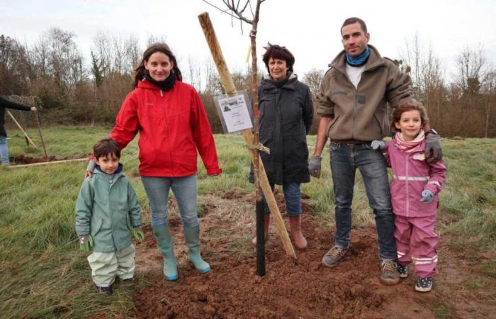 Each birth has its own tree in this village in Val-d'Oise