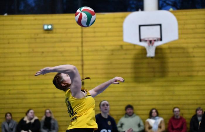 VOLLEYBALL: Only the men of Le Creusot won… The women lost everything…