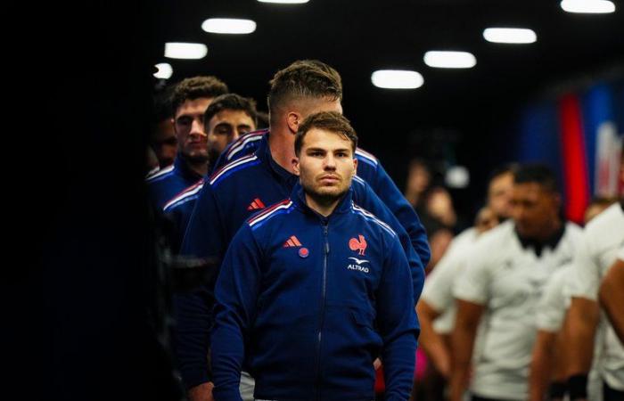 XV of France – The Midol trend – What if Antoine Dupont never saw Eden Park and New Zealand