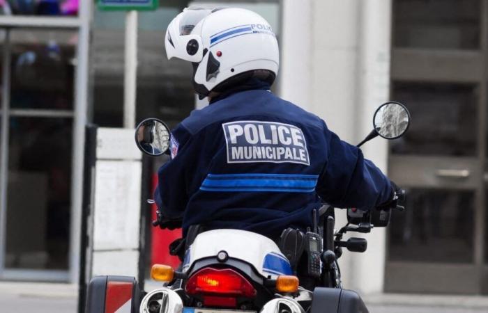 a municipal police officer hit and hospitalized