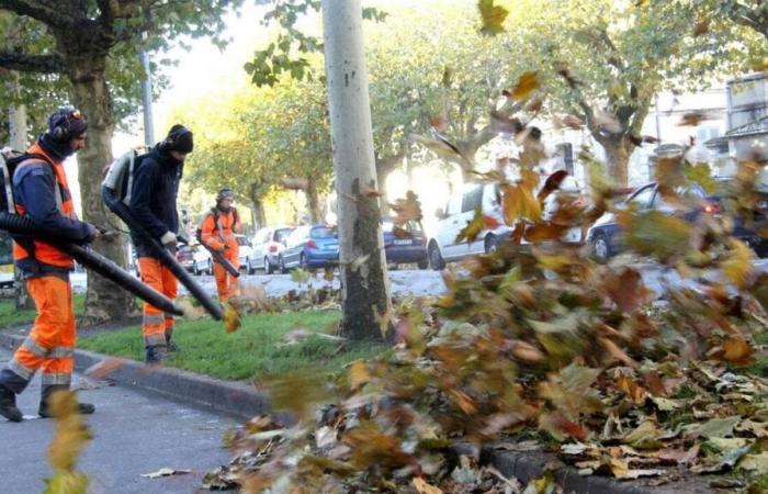 Grasses, moss, droppings, dead leaves… Who is responsible for cleaning the sidewalks?