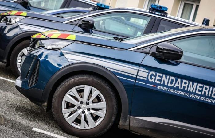 Police custody of a man suspected of being involved in two cold cases in Isère