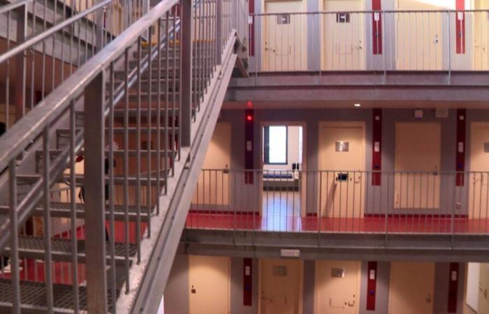 Prison overcrowding: one in 20 prisoners released earlier than expected