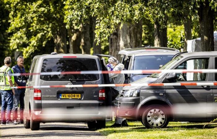 Gino, 9, found dead in the Netherlands: the man who kidnapped and killed the child sentenced to 25 years in prison