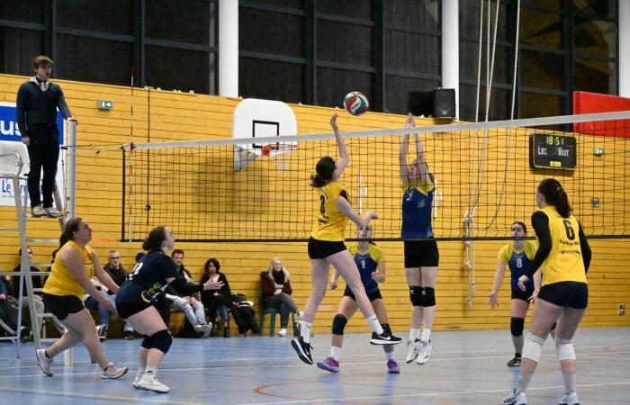 VOLLEYBALL: Only the men of Le Creusot won… The women lost everything…