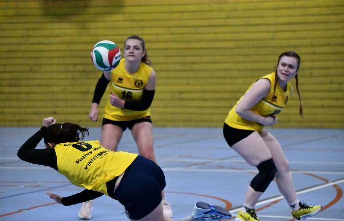 VOLLEYBALL: Only the men of Le Creusot won… The women lost everything…