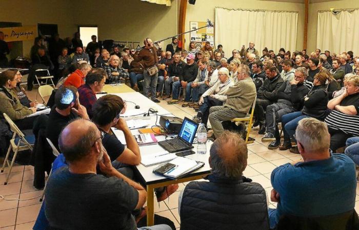 Wolf attacks in Finistère: the Peasant Confederation brings together 200 actors around the table