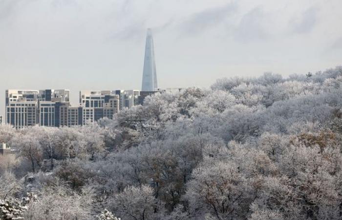 Heavy snow turns Korea into winter wonderland — in pictures