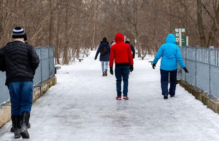 Weather Network forecasts | A mild winter with lots of precipitation