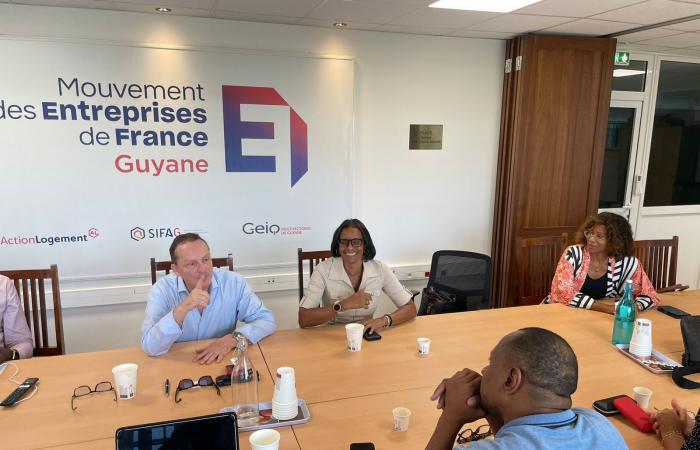 Guyana: Visit by the president of UDE-MEDEF Guadeloupe to pool issues