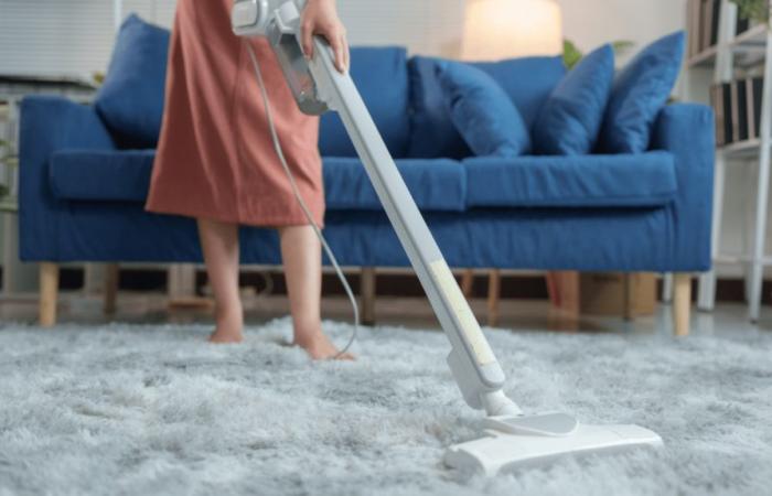 What is the best cordless vacuum cleaner to choose during Black Friday 2024?