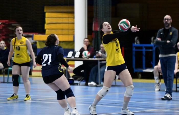 VOLLEYBALL: Only the men of Le Creusot won… The women lost everything…