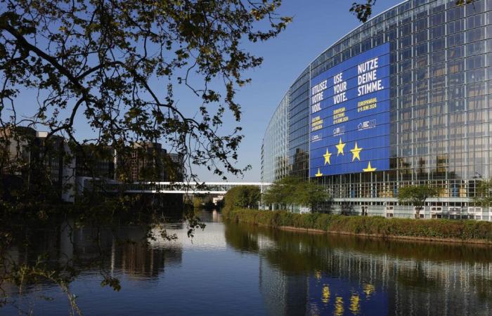 Anti-Israel demonstration in Strasbourg – The Times of Israel