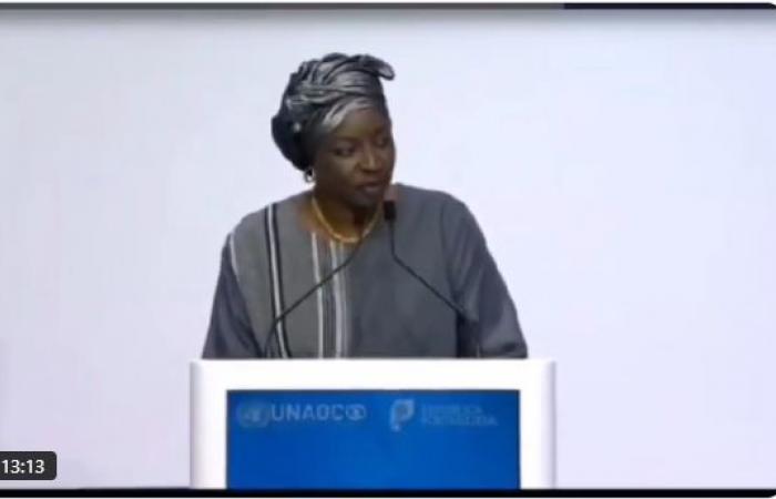 Aminata Touré shakes up the United Nations Alliance for Civilization