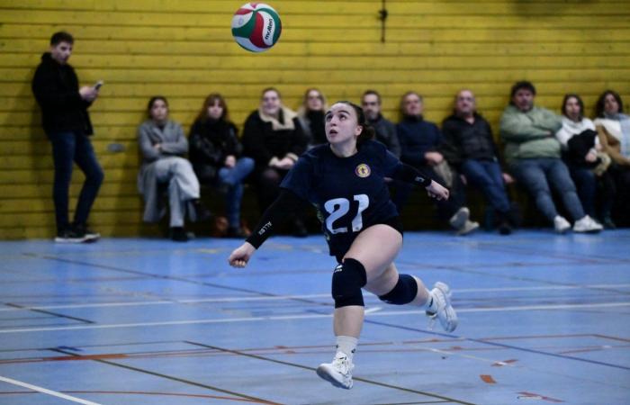 VOLLEYBALL: Only the men of Le Creusot won… The women lost everything…