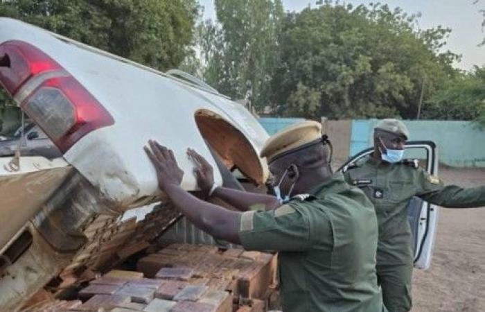 Senegal: Record seizure of 235 kilos of “pure cocaine” estimated at more than 18 billion FCFA