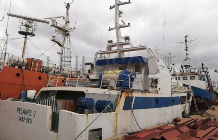 At the heart of a financial scandal, eight fishing vessels built in Cherbourg sold at auction