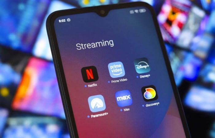 Netflix, Disney+ and Prime Video paid 362 million euros for French creation in 2023