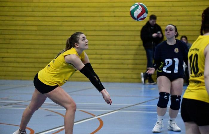 VOLLEYBALL: Only the men of Le Creusot won… The women lost everything…