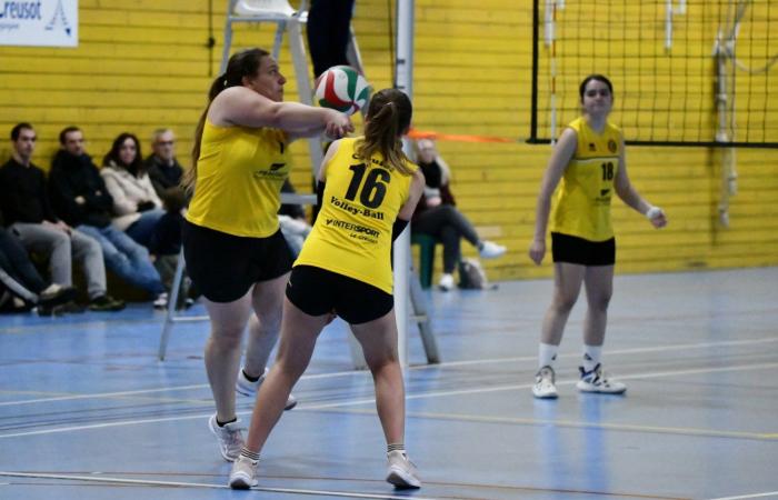 VOLLEYBALL: Only the men of Le Creusot won… The women lost everything…