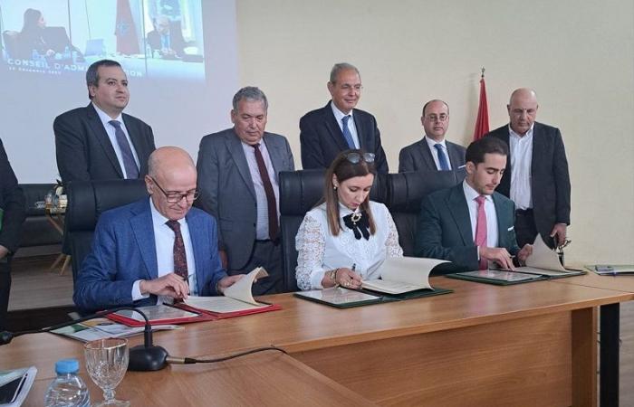 Partnership between Laprophan, USMBA and ANPMA to promote medicinal and aromatic plants from Morocco