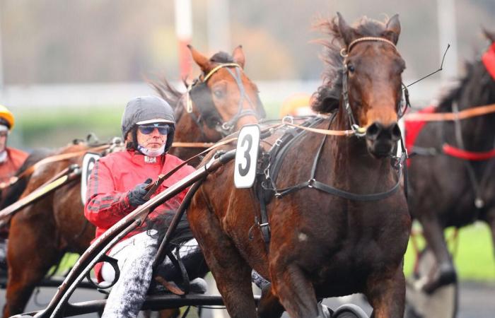 Sunday in Vincennes – Eric Blot: “It’s Jean-Michel Bazire who will be at the Jeudi des Racques sulky”