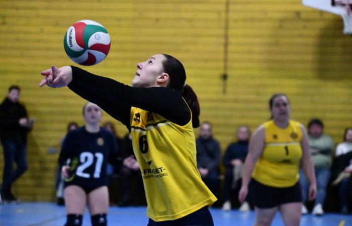 VOLLEYBALL: Only the men of Le Creusot won… The women lost everything…