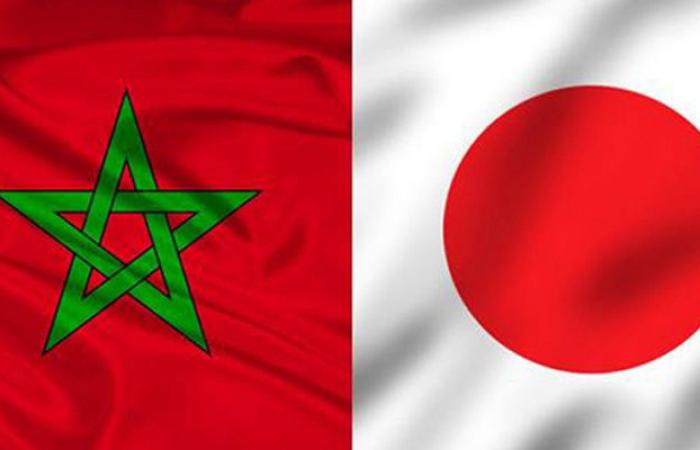 Investment: Morocco and Japan strengthen their cooperation