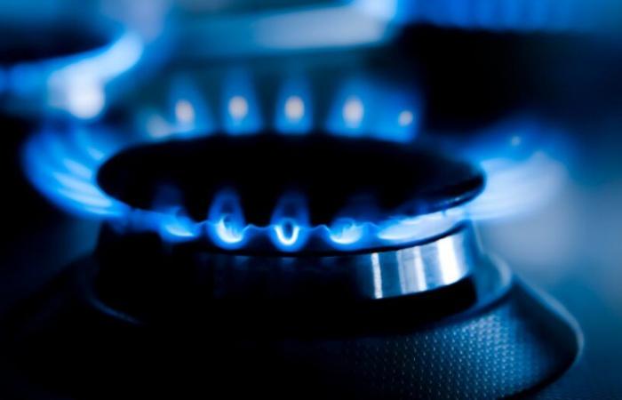 the Senate rejects the increase in the tax on electricity, but gas will increase