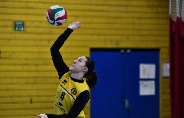 VOLLEYBALL: Only the men of Le Creusot won… The women lost everything…