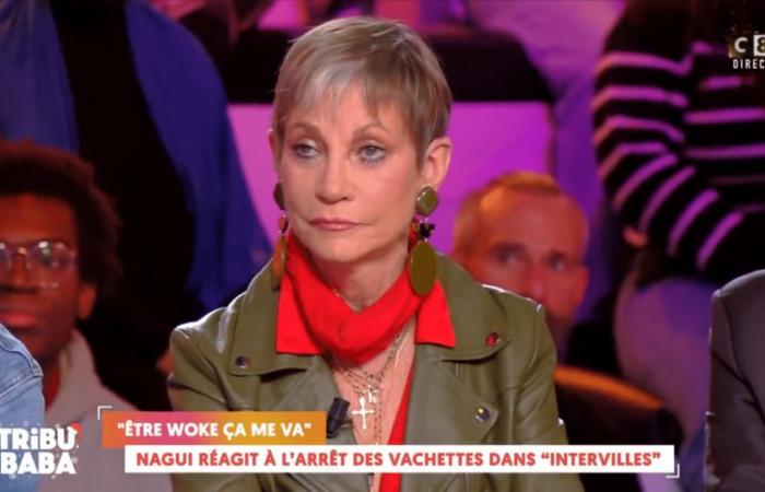 Isabelle Morini-Bosc furious with Nagui's decision: “it annoys me when people who don't know anything about it…”