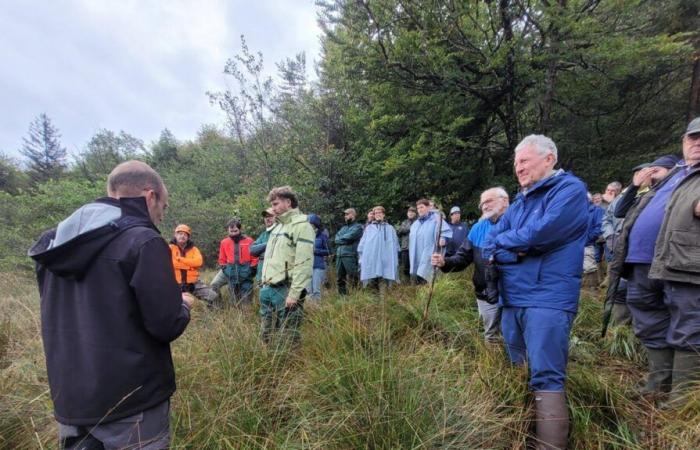 in Auberive, different and beneficial forest management