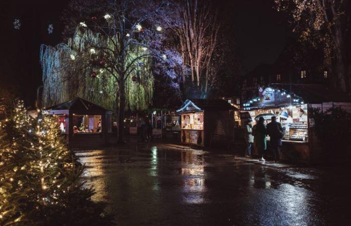 The 10 commandments for surviving the Strasbourg Christmas market, 2024 edition