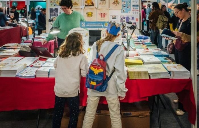 Montreuil book and youth press fair, a market that is doing quite well