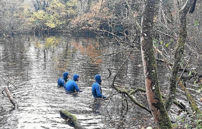 Disappearance of a teenage girl in Pabu: a helicopter and divers deployed to the area